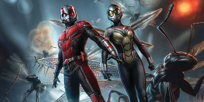 Ant-Man and the Wasp: Top 5 Theories