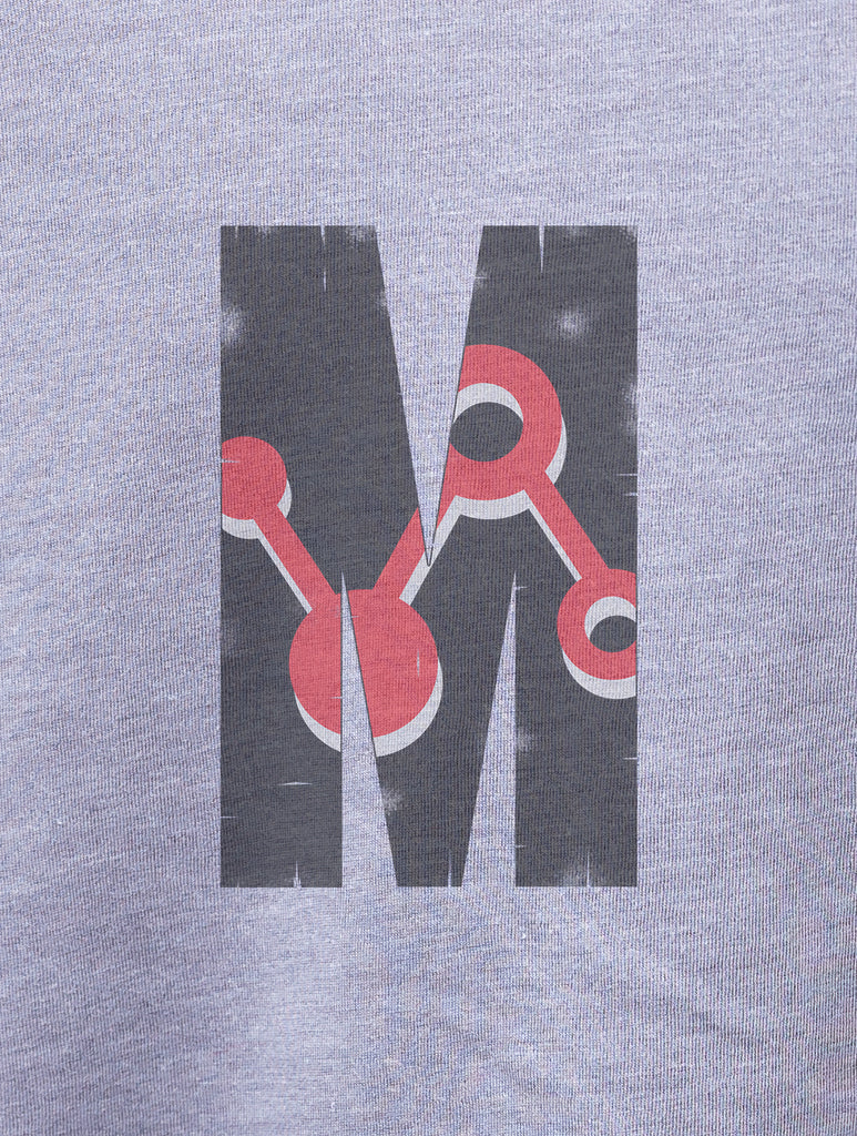 Ant-Man: Avengers Endgame Vintage Tee - Hero Within