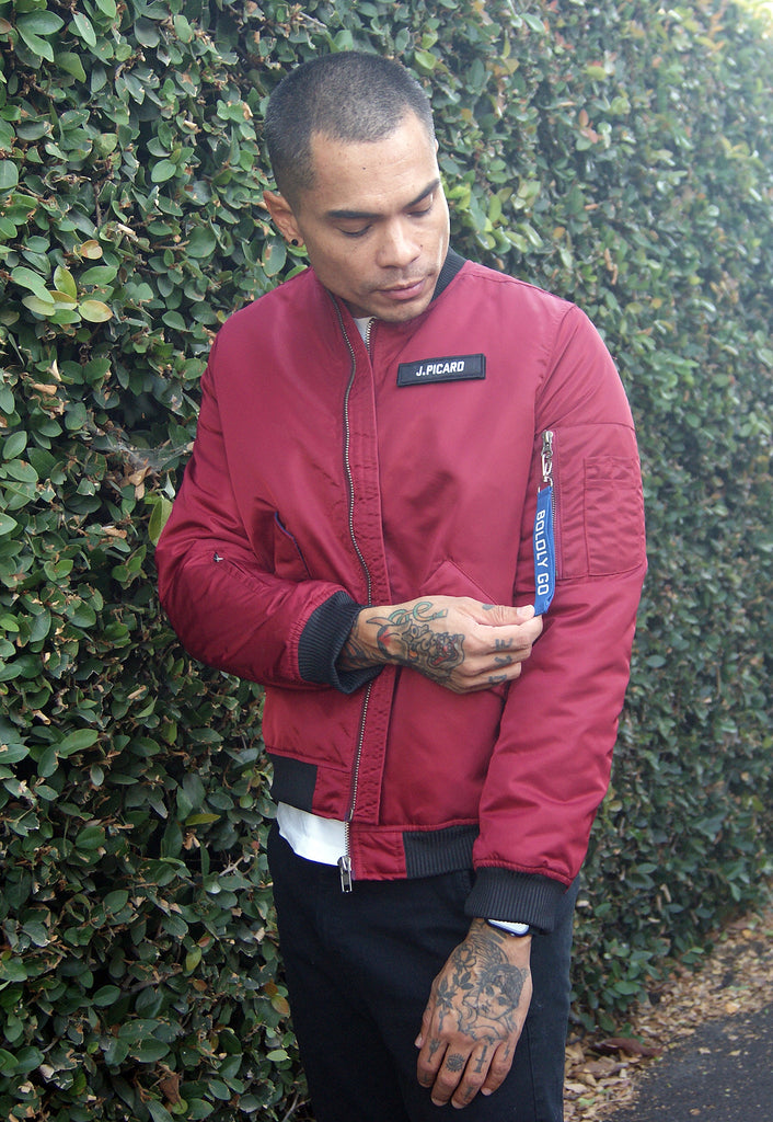 Star Trek Customizable Bomber