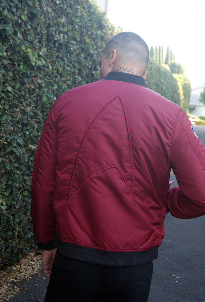 Star Trek Customizable Bomber